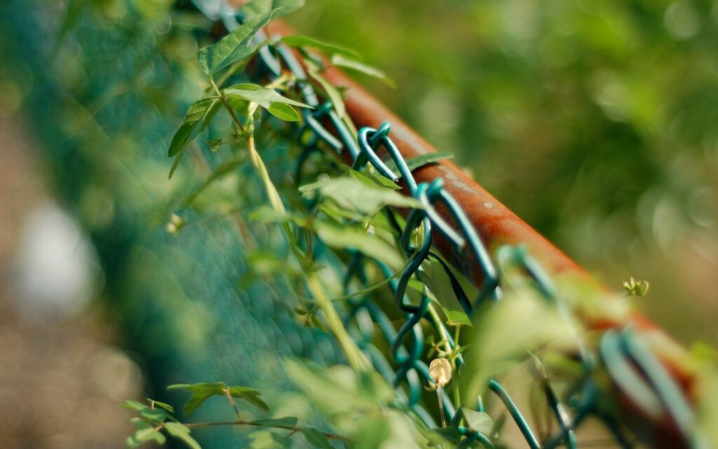 Metal Mesh Fence and Green Nature: Harmonious Wallpaper Background
