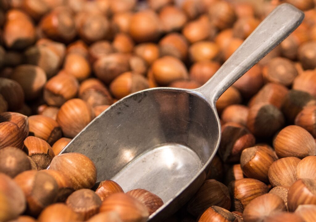 Metal Scoop on Fresh Hazelnuts - Close-Up Wallpaper Background