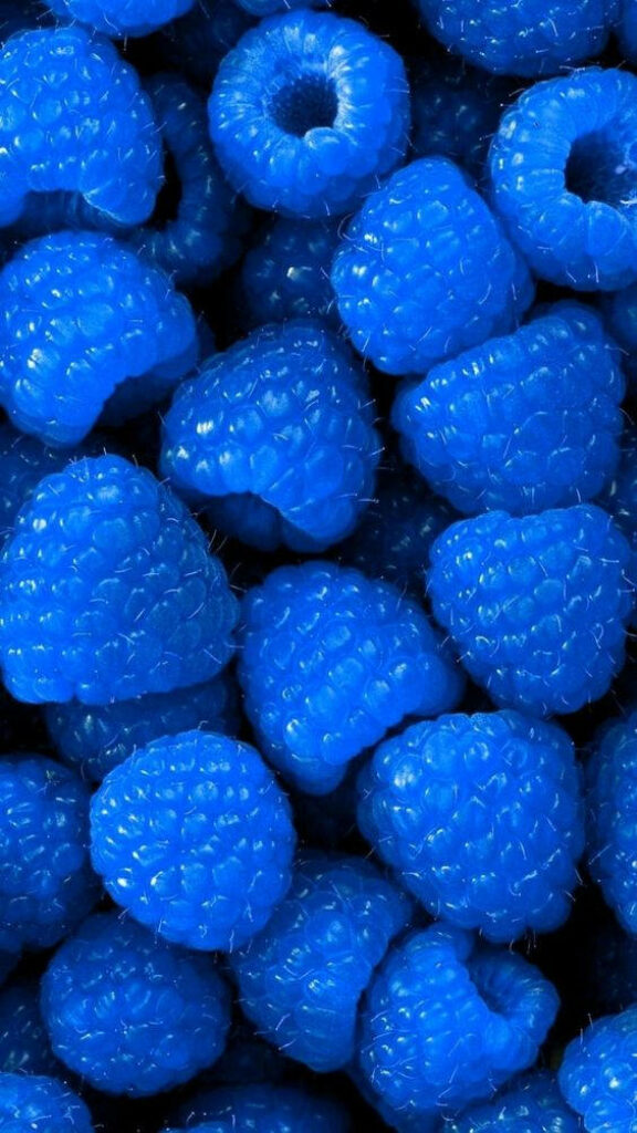 The Mysterious Allure of Midnight Blue Raspberries: A Captivating Tumblr Backdrop Wallpaper
