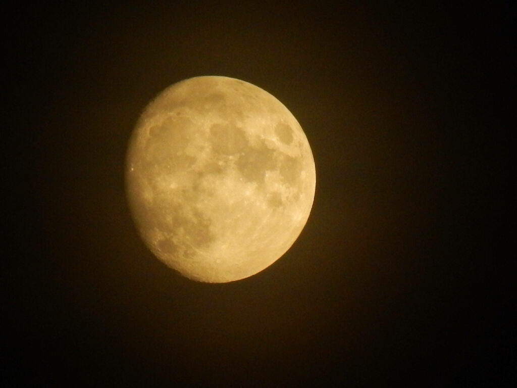 Minimalistic Moonlit Scene: Subtle and Moody Aesthetic Background Photograph Wallpaper