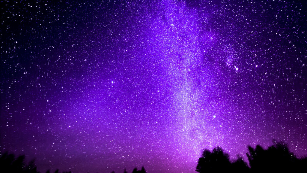 Mystical Night: Enchanting Forest Silhouettes under the Starry Black and Purple Aesthetic Sky Wallpaper