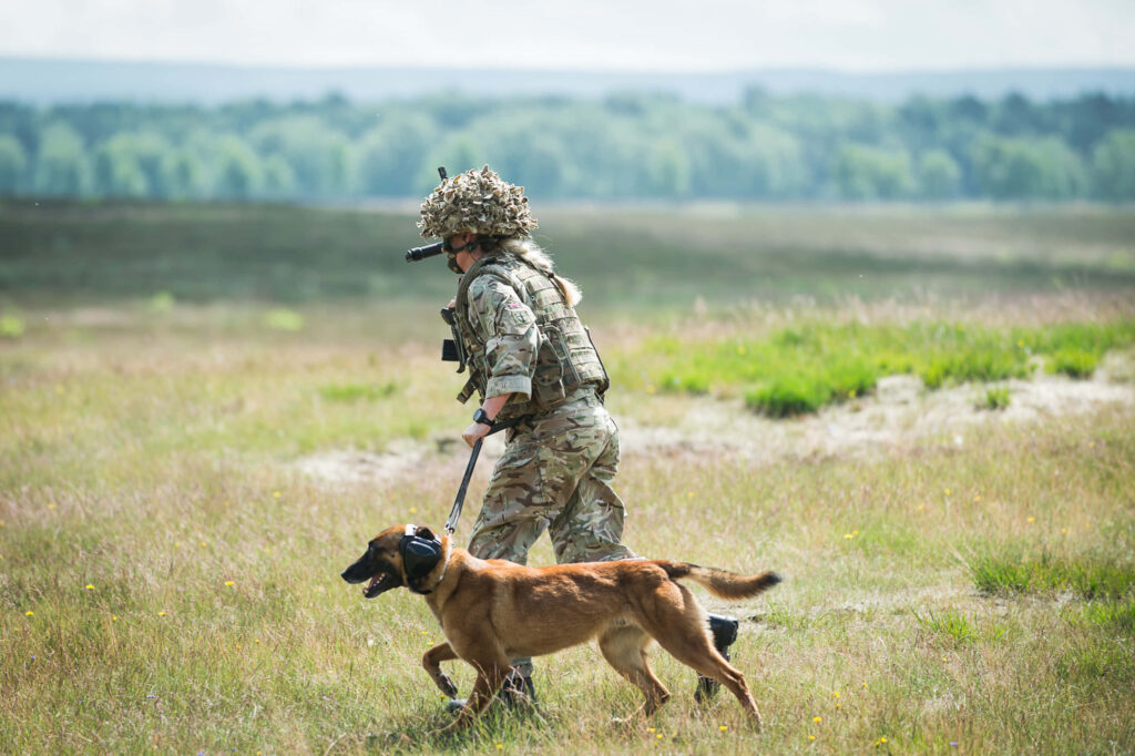 Military handler in camouflage leading focused working dog across grassy field teamwork training Wallpaper