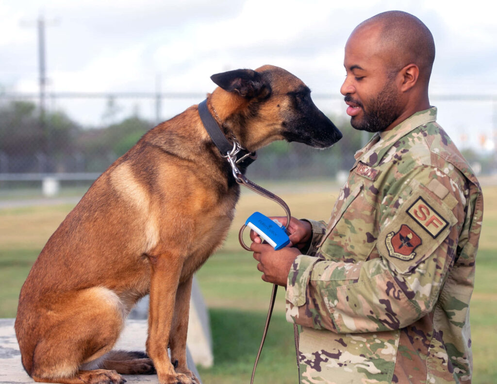 Military handler bonding with trained service dog showing trust and teamwork wallpaper background