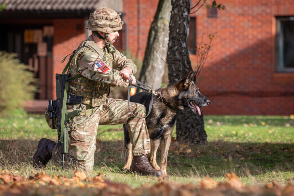 Military handler in camouflage kneeling beside alert working dog during outdoor training session Wallpaper