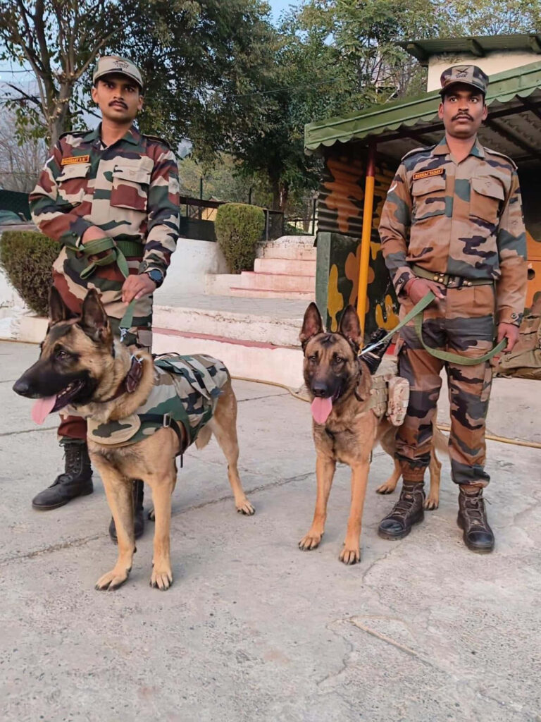 Two military personnel in camouflage with service dogs at a military base wallpaper background