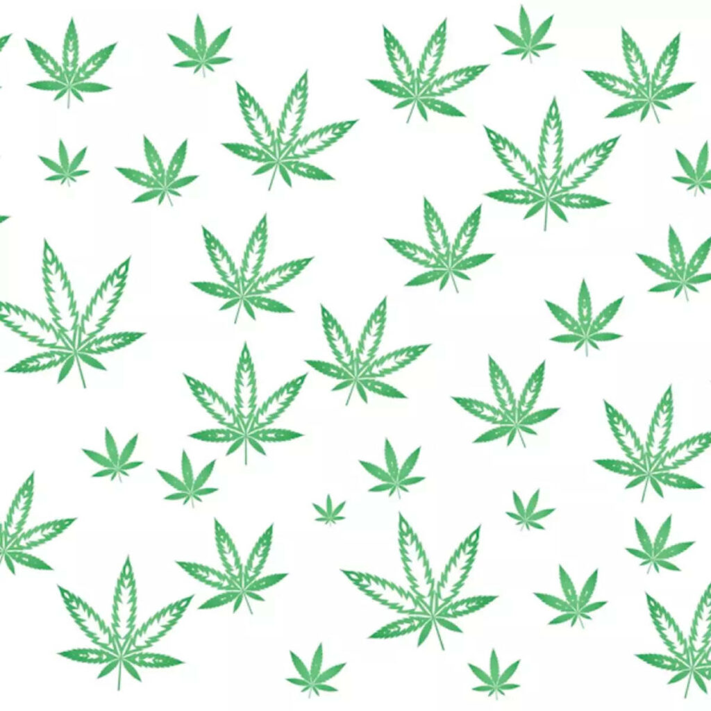 Fresh Minimalist Green Weed Leaf Wallpaper on White Background
