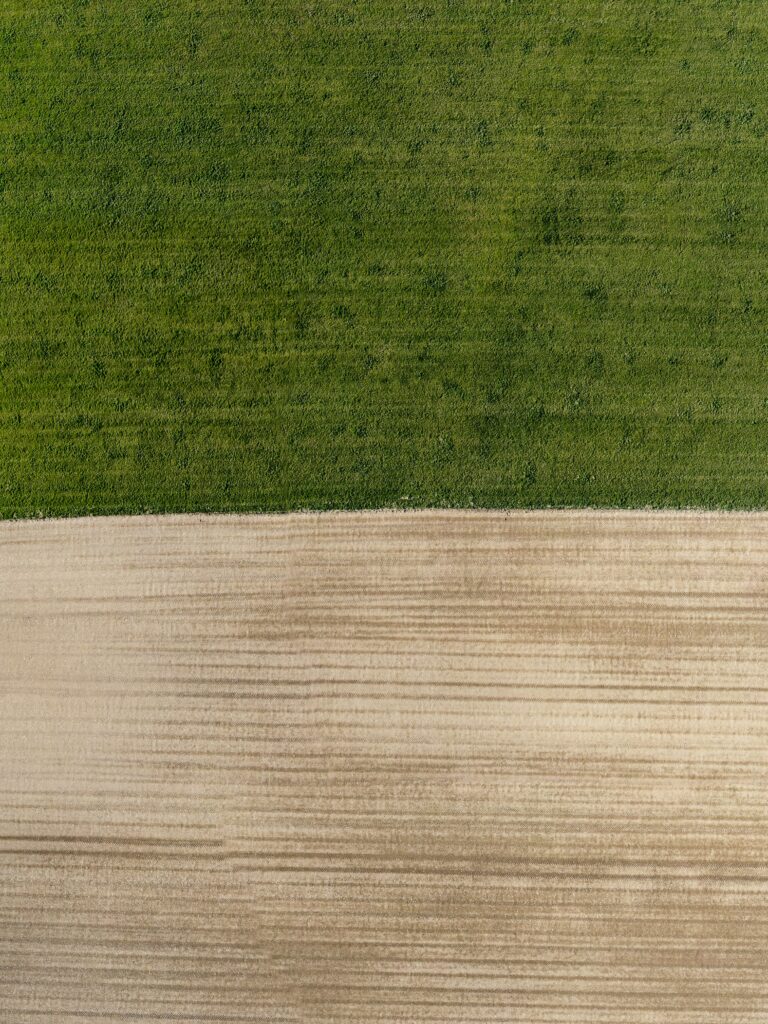 Aerial view minimalist wallpaper showing vibrant green field and textured beige sand patterns
