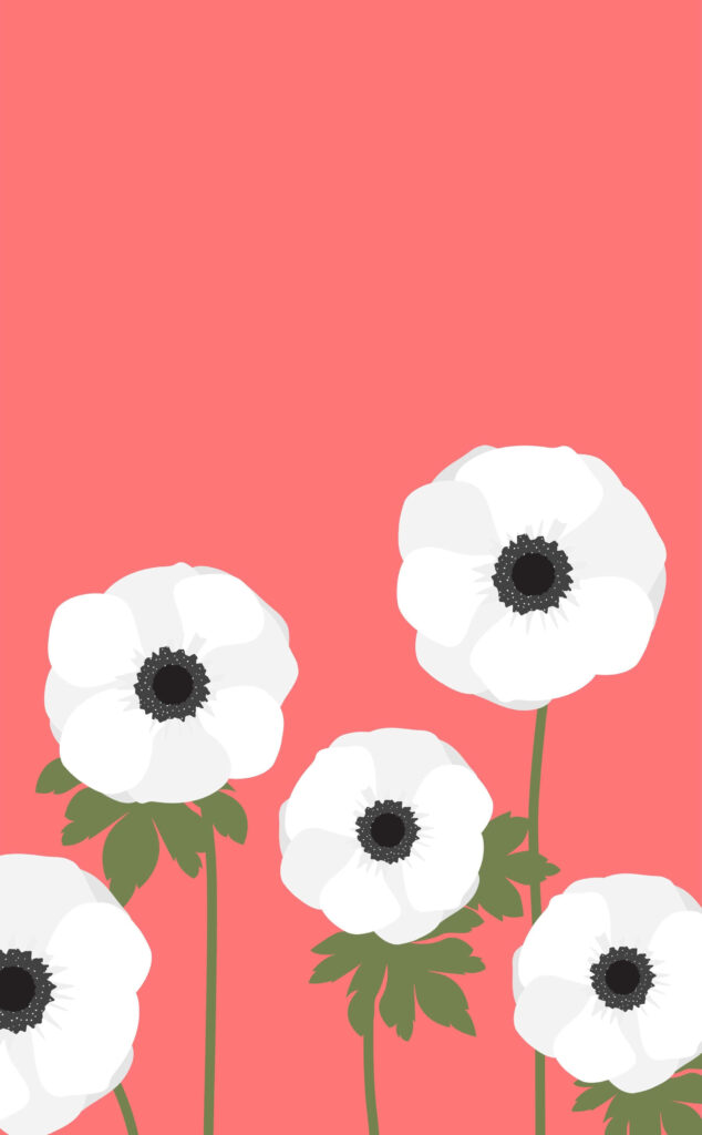 Elegant Minimalist Wallpaper: White Anemone Flowers on Coral Pink