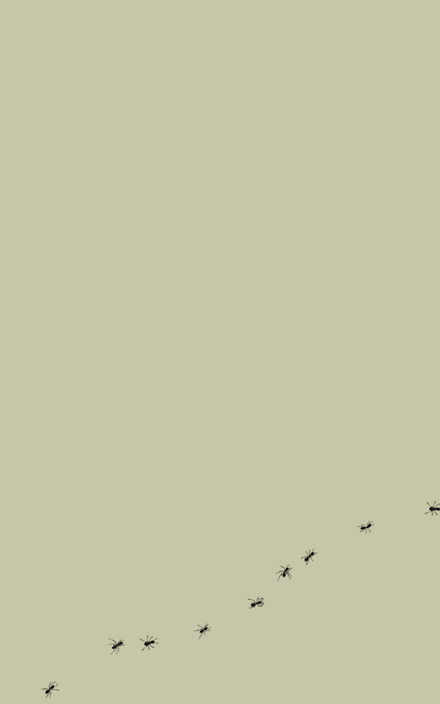Minimalist iPad Wallpaper: Ants on Light Green Background