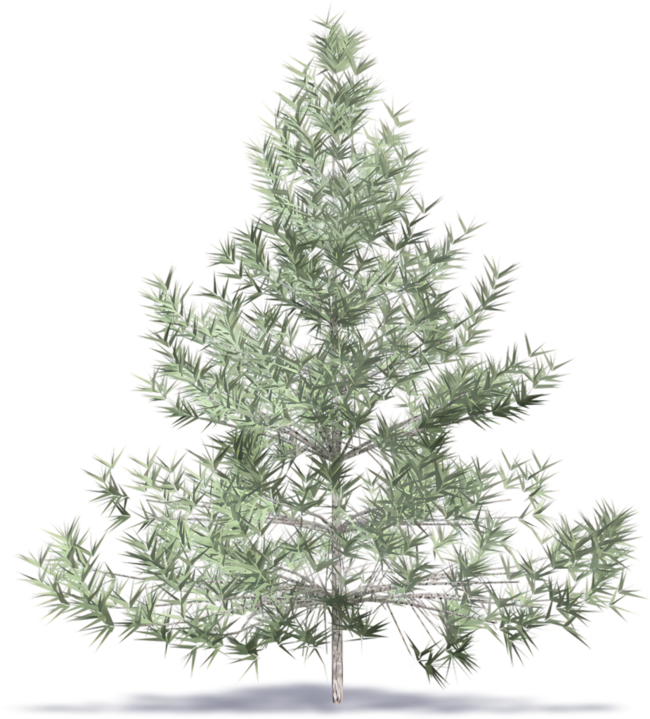 Minimalist Artificial Christmas Tree on Transparent Background Wallpaper