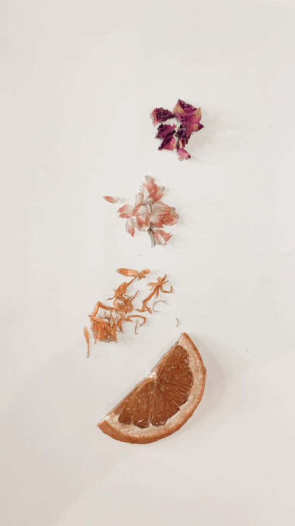 Minimalist Autumn Wallpaper: Dried Flowers & Orange on White Background