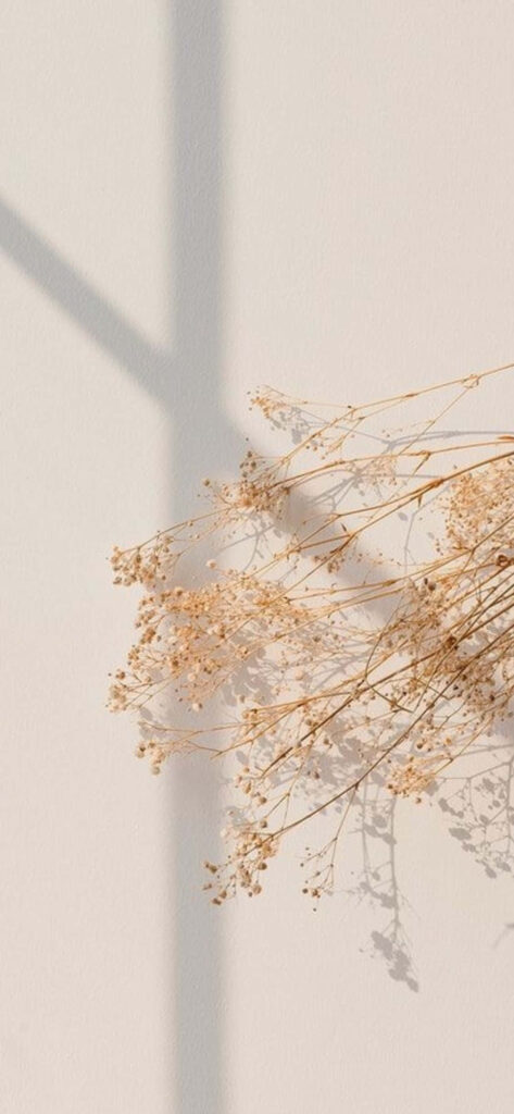 Delicate Baby's Breath Wallpaper: Minimalist Floral Design