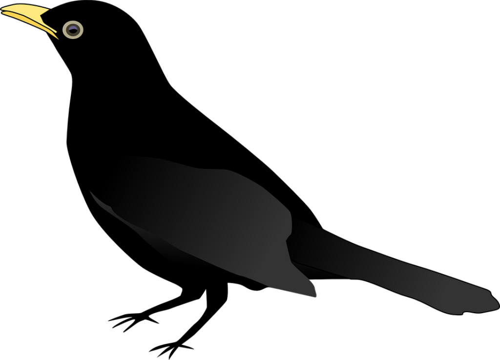 Minimalist Black Bird Wallpaper with Yellow Beak & Eye Design