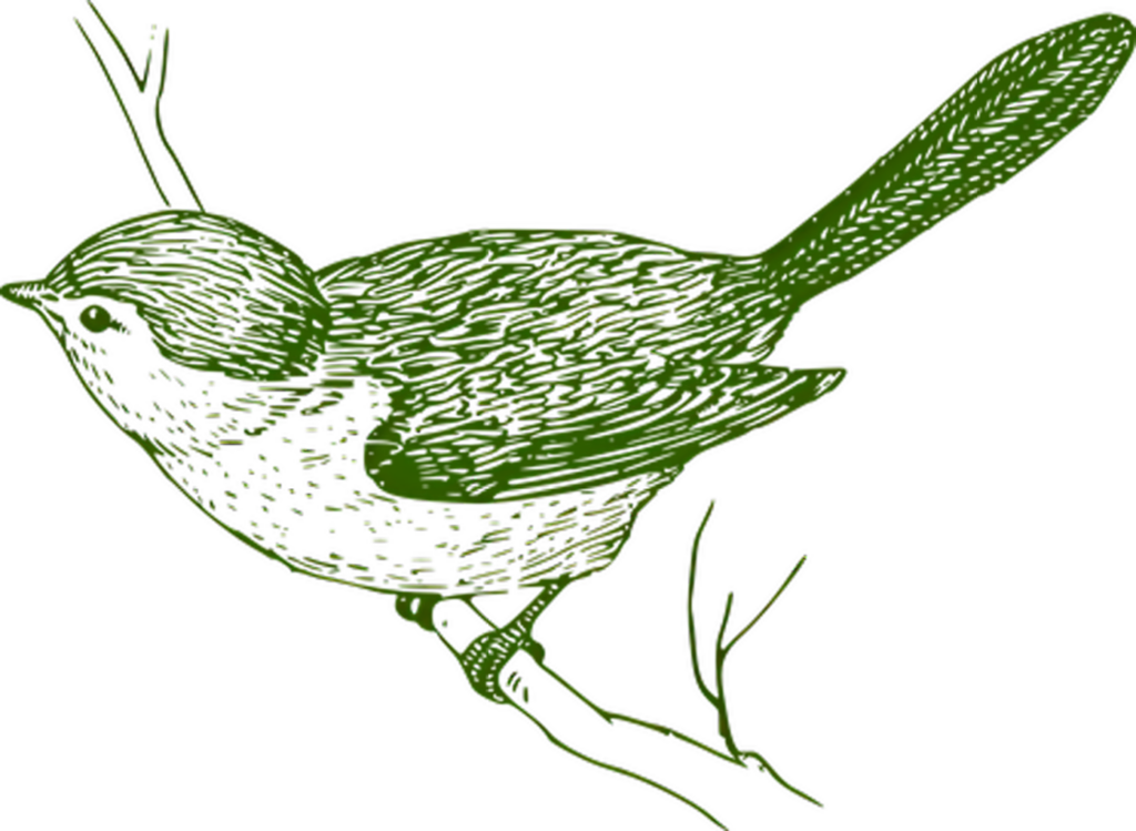 Minimalist Bird Illustration: Green-Outlined Design on Transparent Background Wallpaper