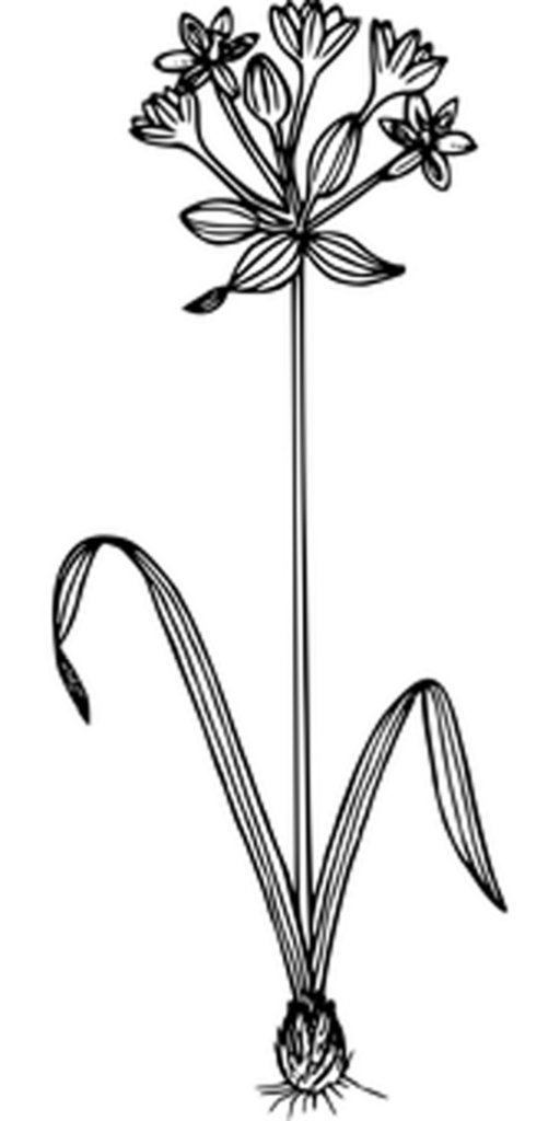 Minimalist Black Background Design - Perfect Wallpaper Idea