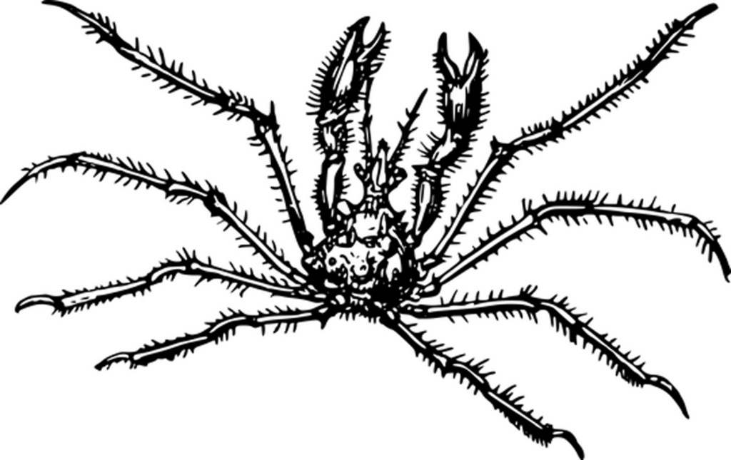 Minimalist Black Background for Versatile Design Projects Wallpaper
