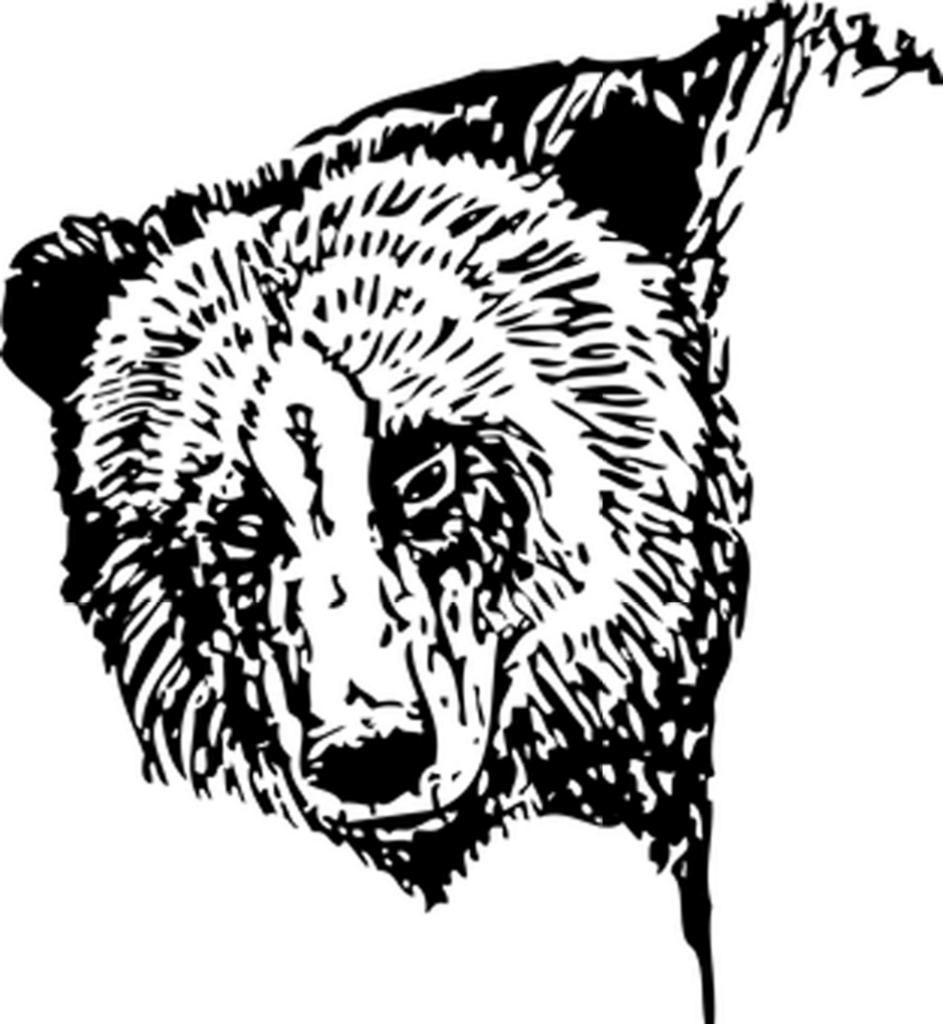 Minimalist Black Bear Silhouette Wallpaper on Transparent Background