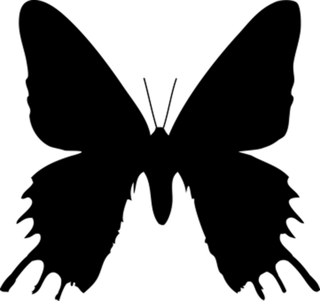 Intricate Minimalist Black Butterfly Wallpaper on Transparent Background