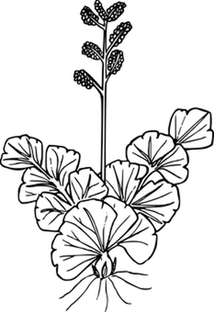 Minimalist Black Canvas Wallpaper: Sleek Background Design