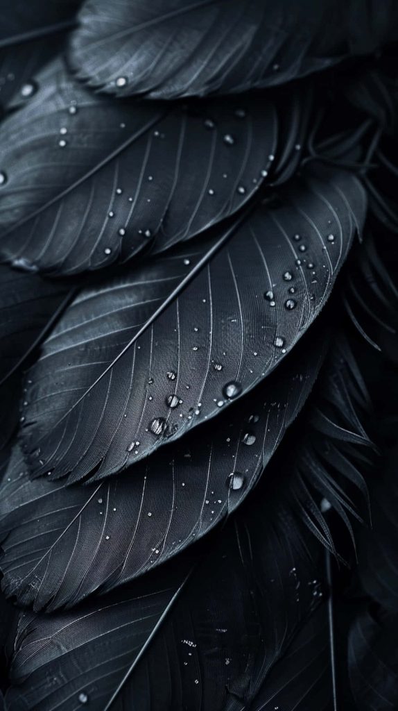 Minimalist black wallpaper with glossy water droplets on dark leaves perfect for AMOLED screens