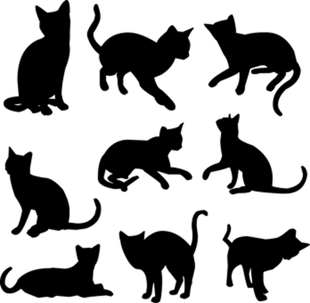Minimalist Black Placeholder Background for Design Layouts Wallpaper