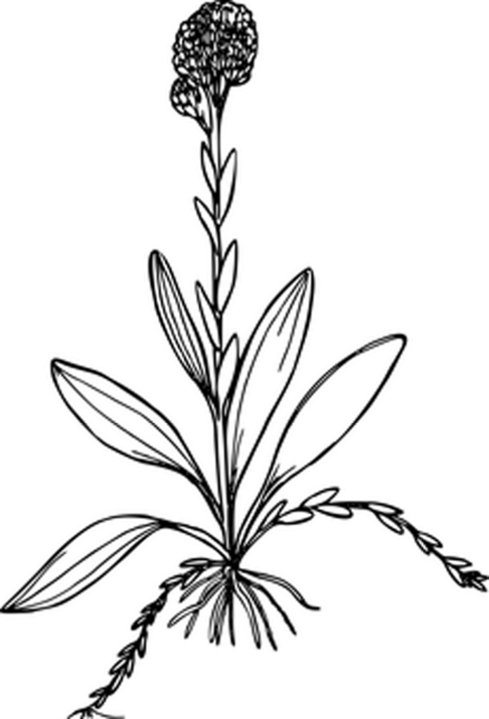 Minimalist Black Wallpaper: Perfect Blank Canvas for Design Projects
