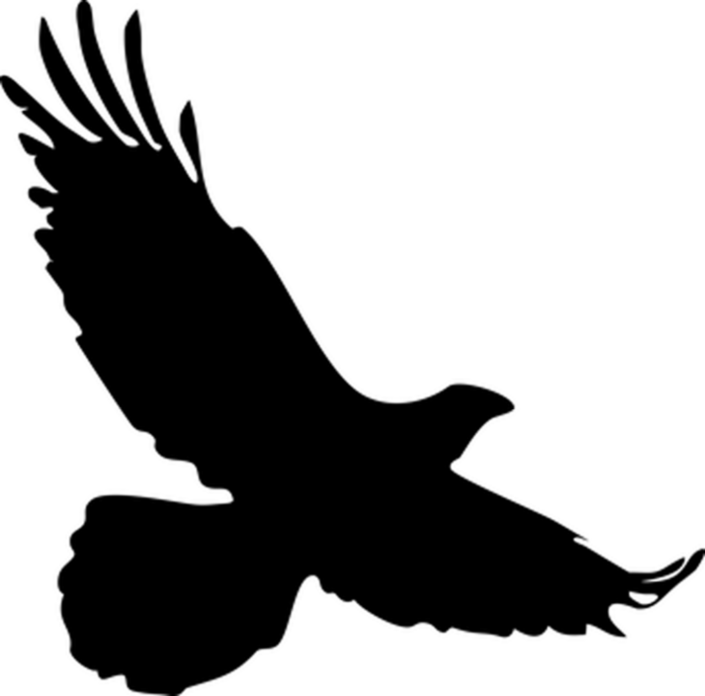 Minimalist Black Screen Placeholder Image for Design & Presentations Wallpaper