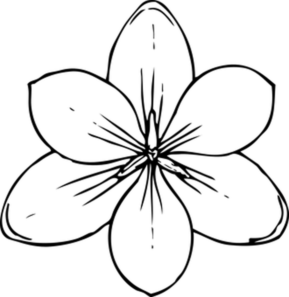 Minimalist Black Wallpaper: Perfect Blank Canvas Background