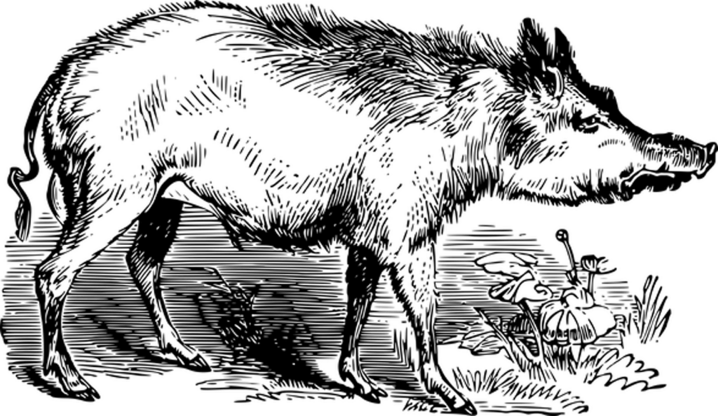 Minimalist Black Screen Wallpaper - Clean Background for Customization