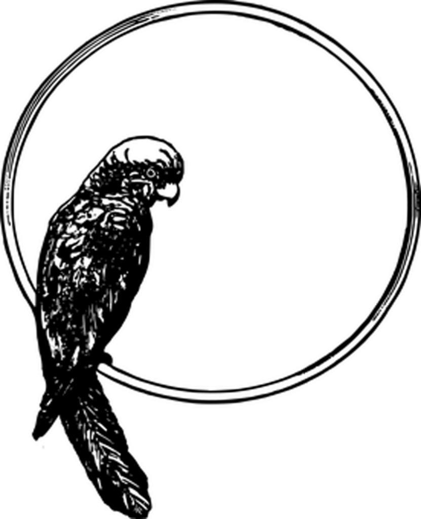 Versatile Black Screen Placeholder Background for Design Projects Wallpaper
