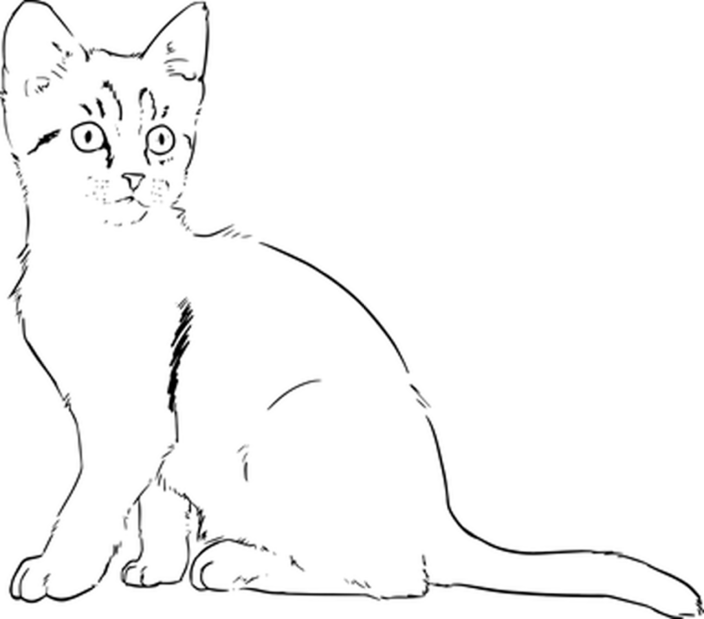 Simple Black Wallpaper: Perfect Minimalist Background for Creative Projects