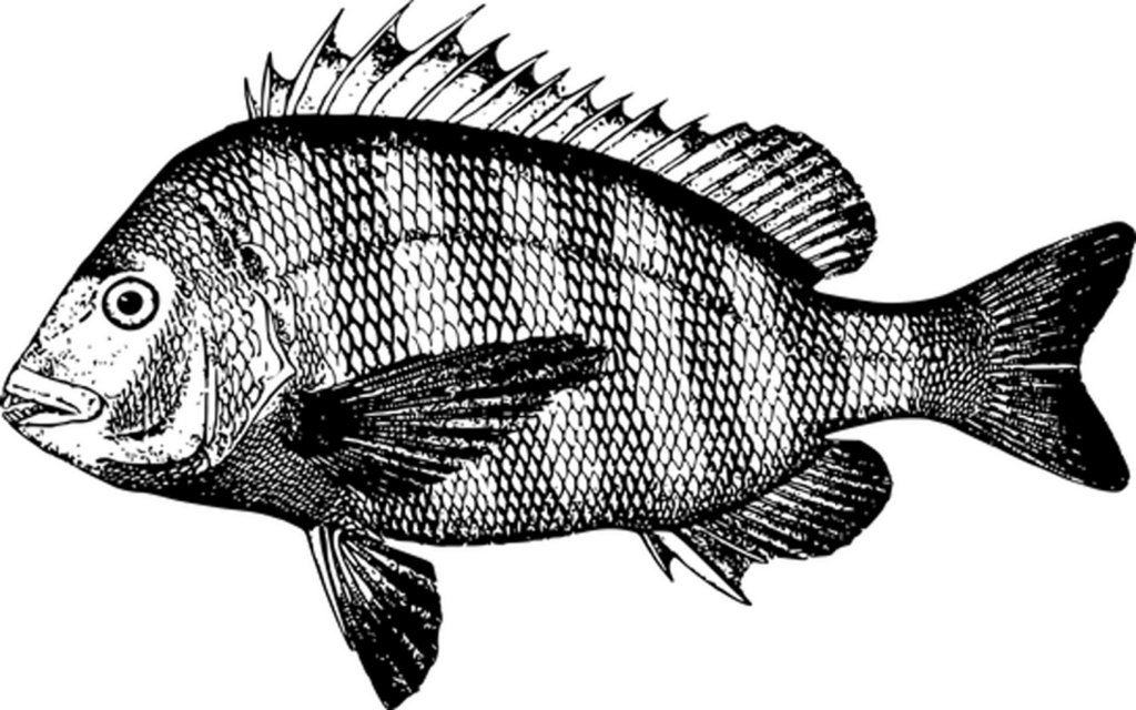 Minimalist Black Screen Wallpaper - Sleek Neutral Background