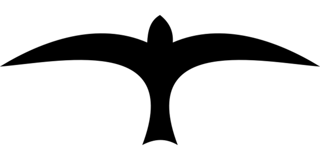 Minimalist Black Background: Uniform Dark Screen Image Wallpaper