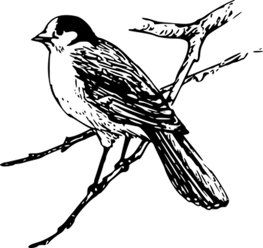 Minimalist Black Screen Placeholder for Design Projects Background Wallpaper
