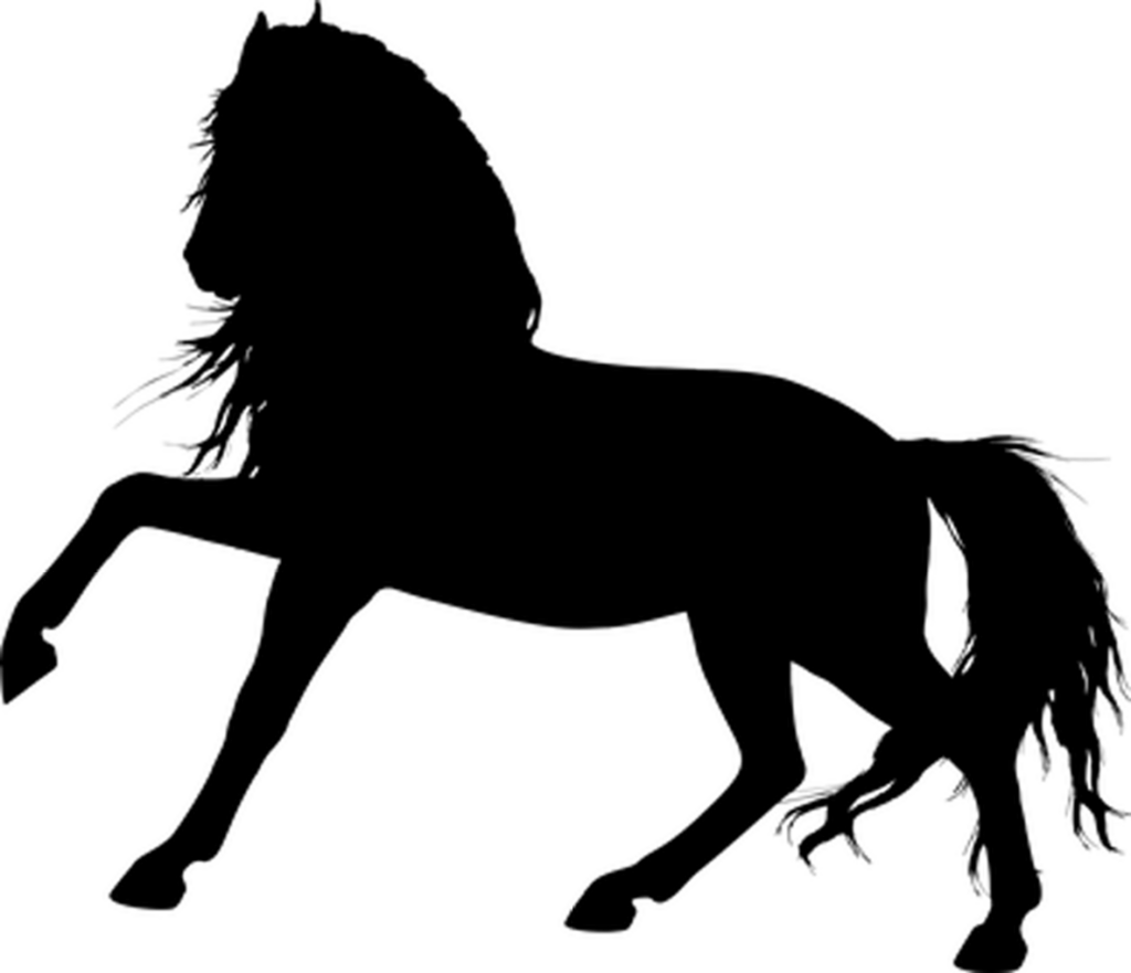 Minimalist Black Screen Wallpaper: Sleek, Simple, and Distraction-Free