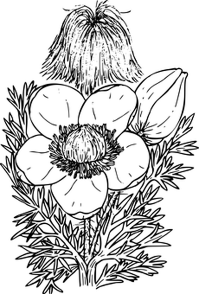 Minimalist Black Wallpaper: Sleek, Uncluttered Background Design