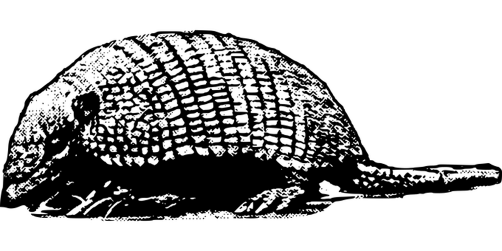 Simple Black Screen Wallpaper: Minimalist Background for Any Use
