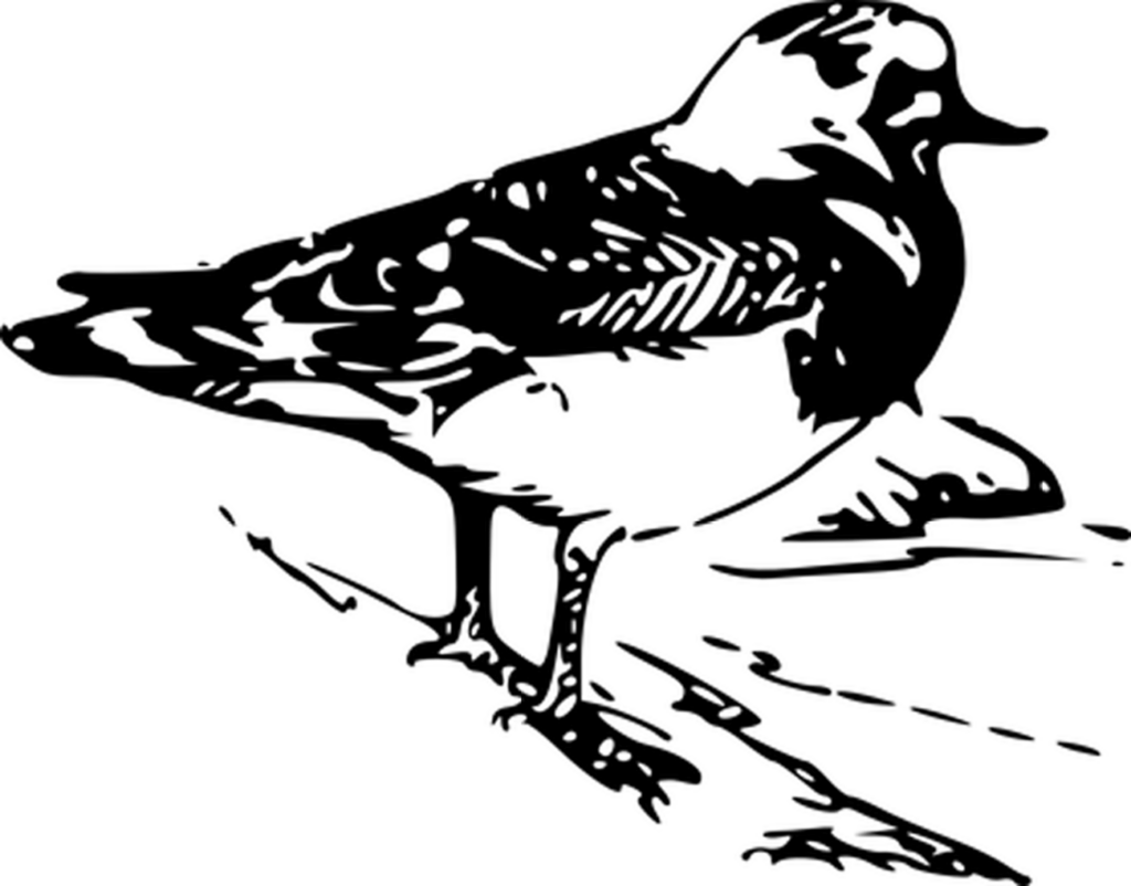 Minimalist Black Wallpaper: Perfect Neutral Background for Desktops