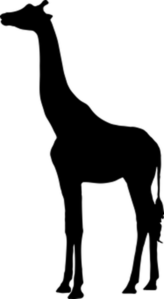 Minimalist Black Wallpaper: Embrace Dark Aesthetics and Subtlety