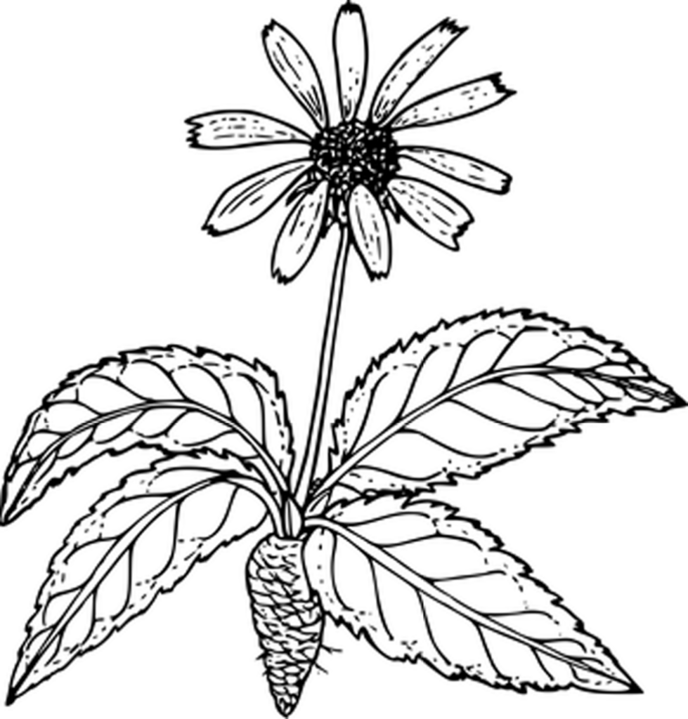 Minimalist Black Background Wallpaper: Sleek & Modern Design