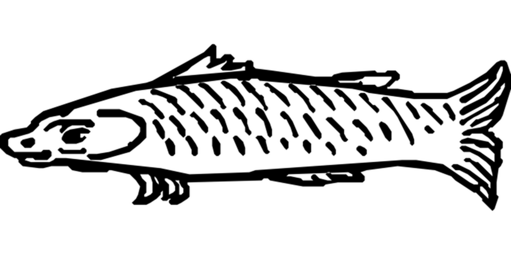 Minimalist Black Background for Design Projects & Wallpapers