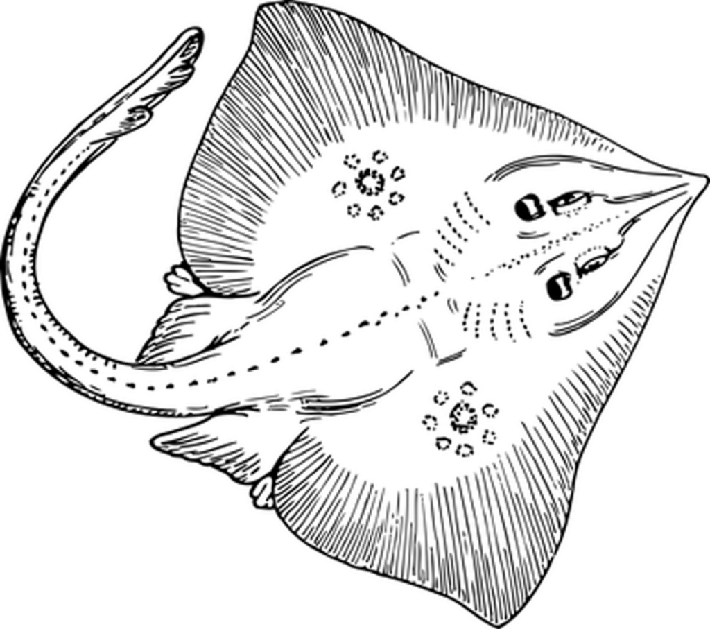 Minimalist Black Wallpaper: Perfect Background for Graphic Designs
