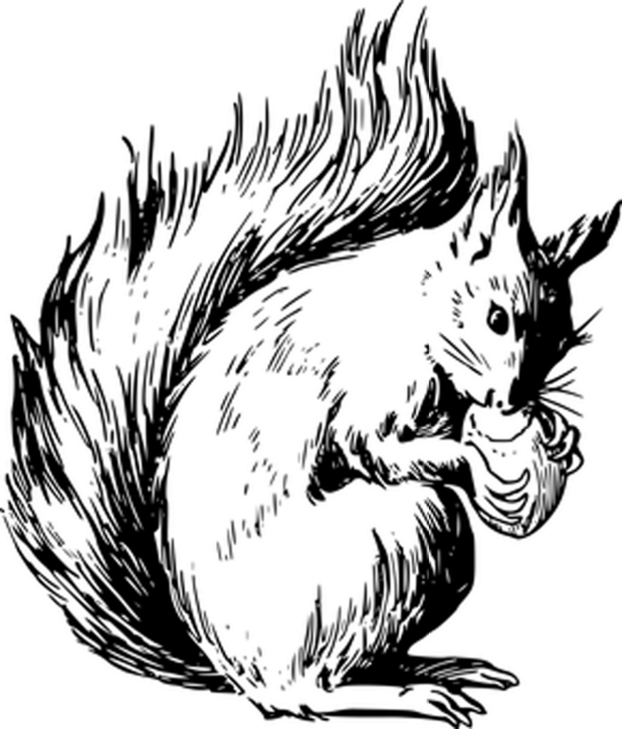 Minimalist Black Wallpaper: Perfect Background for Digital Projects