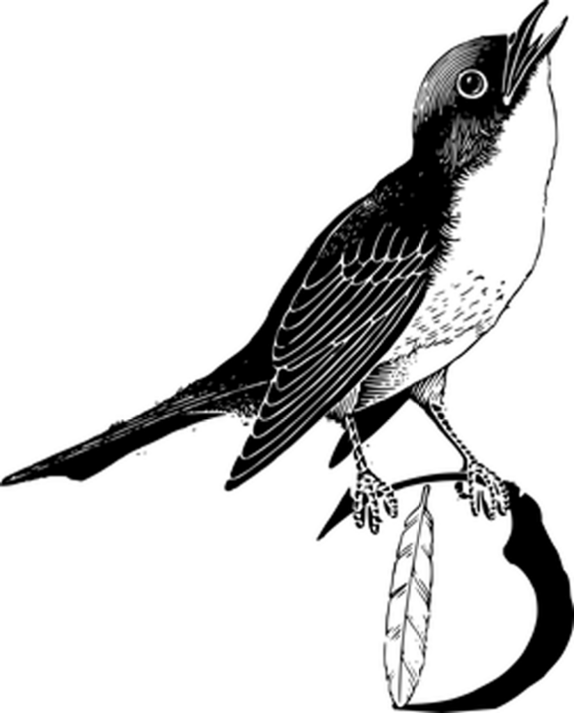 Minimalist Black Wallpaper: Ideal Blank Background for Custom Design