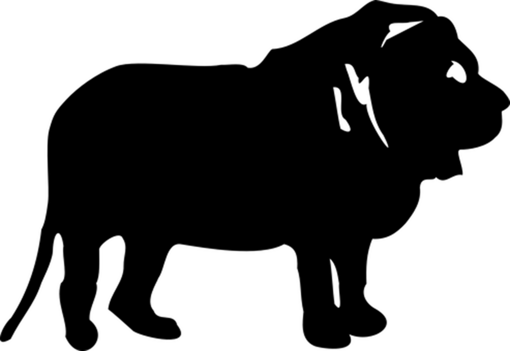 Minimalist Black Wallpaper - Perfect Background for Digital Projects