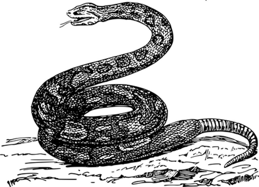Minimalist Black Wallpaper: Perfect Neutral Background Design