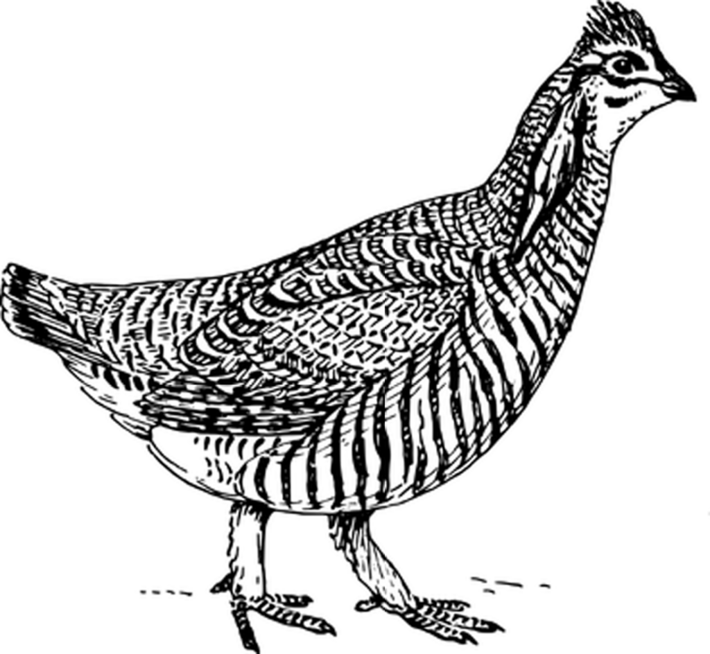 Minimalist Black Screen Wallpaper: Versatile Neutral Background Design