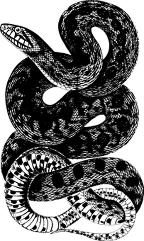 Minimalist Black Wallpaper - Simple Background for Projects