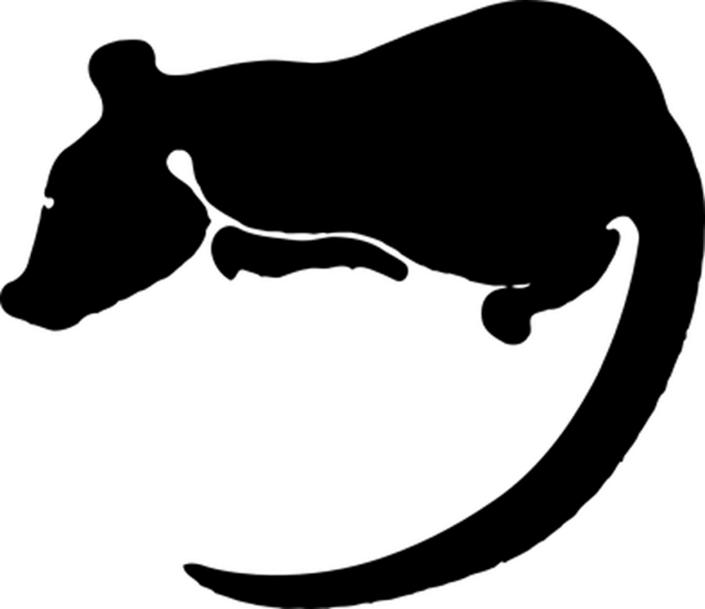 Minimalist Black Wallpaper: Dark Canvas for Creative Projects