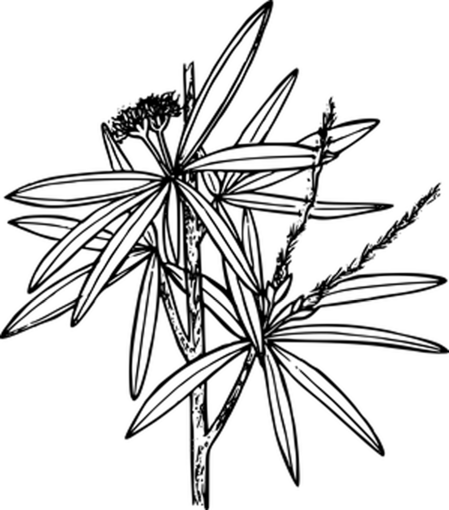 Sleek Minimalist Black Wallpaper - Solid Background Design